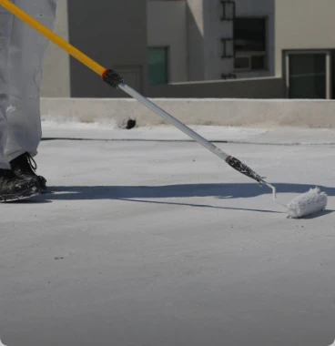 Roof Coating
